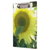 日光のヒマワリ クリップボード (左)