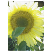 日光のヒマワリ クリップボード (裏面)