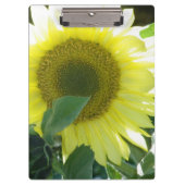 日光のヒマワリ クリップボード (正面)