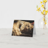 日光のメッセージカードのオレンジ猫 カード (黄色い花)