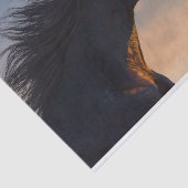 日光の下にある黒いフリシアの馬 薄葉紙 (詳細)