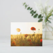 日光の中でポピーの花 ポストカード (スタンド正面)