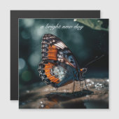 日光の中で反射する水を持つ蝶 (正面/裏面)