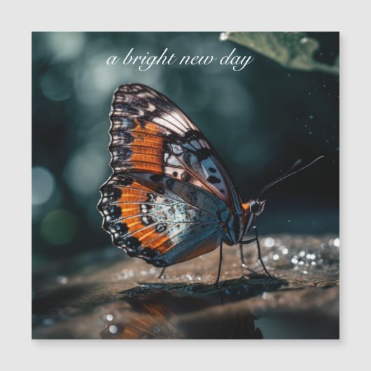 日光の中で反射する水を持つ蝶 (正面)