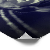 日光の中で白と黒の花 ポスター (角)