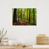 日光の中のカナダの森 ポスター (キッチン)