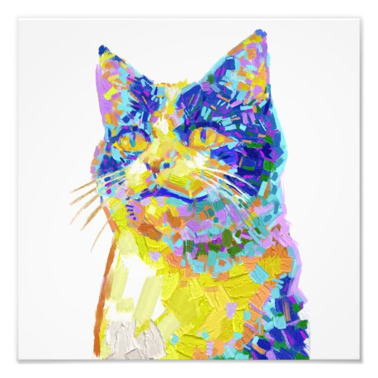 日光の中の猫 フォトプリント (正面)