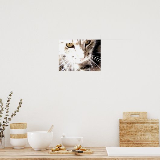 日光の中の猫 ポスター (キッチン)