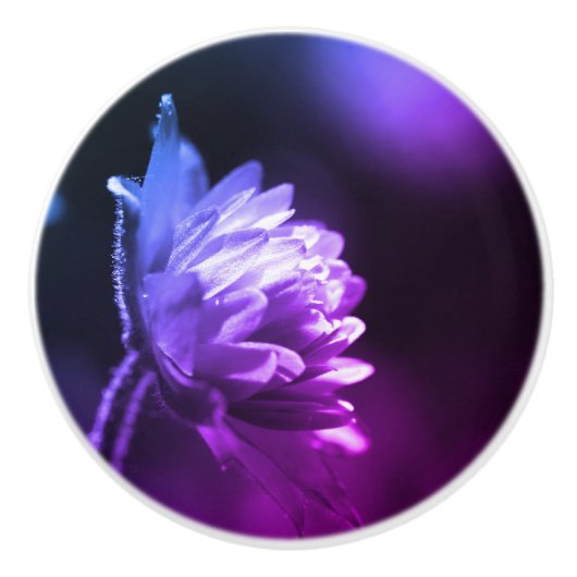 日光の中の花の黒と白の色合い セラミックノブ (正面)