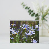 日光の中の花 ポストカード (スタンド正面)