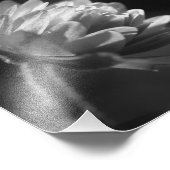 日光の中の花BlackとWhite 8x8 フォトプリント (角)