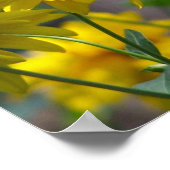 日光の中の黄色い花 ポスター (角)