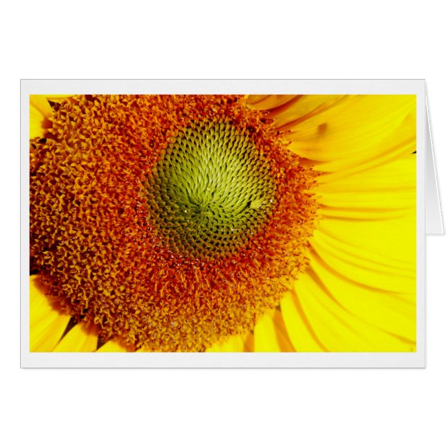 日光の中心 (正面横)