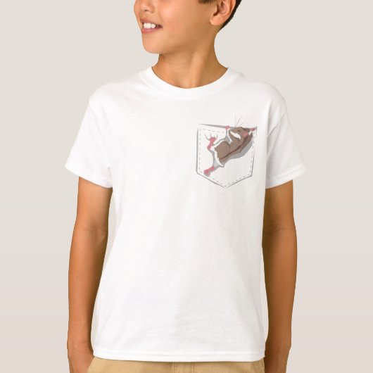 日光の十分のポケット Tシャツ (正面)