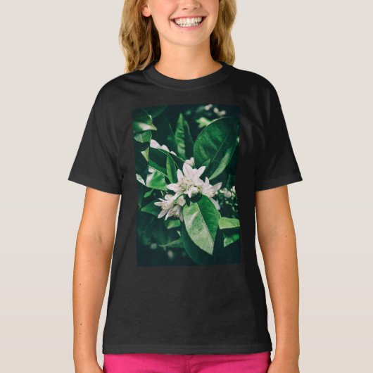 日光の当たるオレンジの木の花 Tシャツ (正面)