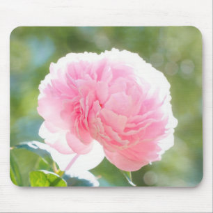 日光の美しいピンクのシャクヤクの花 マウスパッド
