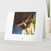 日光の金色の翼を持つトンボ サンキューカード (裏面)