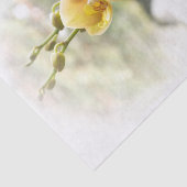 日光の黄色いガ蘭 薄葉紙 (詳細)