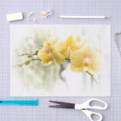 日光の黄色いガ蘭 薄葉紙 (クラフト)