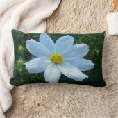 日光を受ける白いコスモスの花フローラ ランバークッション (ブランケット)