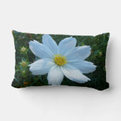 日光を受ける白いコスモスの花フローラ ランバークッション (裏面)