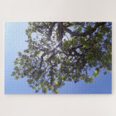 日光を木のパズルで通す ジグソーパズル (横)