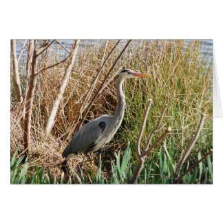 日光を楽しんでいる鷲