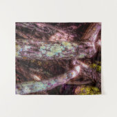 日光を浴びる地衣類 タペストリー (正面(横))