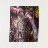 日光を浴びる地衣類 タペストリー (正面)