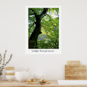 日光を通葉る ポスター (キッチン)
