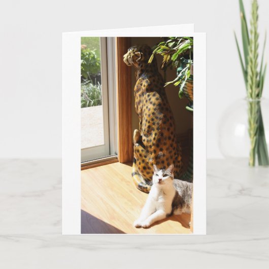 日光浴をするGraceyおよび悪い子猫 カード (正面)