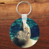 日光浴アシカ キーホルダー (正面)