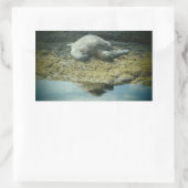 日光浴ウミガメのシール 長方形シール (バッグ)