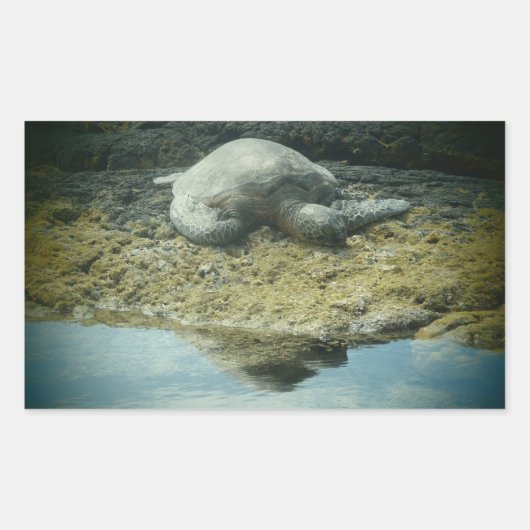 日光浴ウミガメのシール 長方形シール (正面)