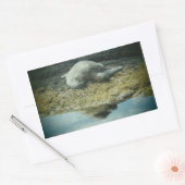 日光浴ウミガメのシール 長方形シール (封筒)