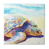 日光浴カメ6 タイル (正面)