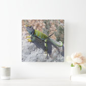 日光浴カラフルカラーのトカゲ写真 スクエア壁時計 (ホーム)