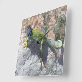 日光浴カラフルカラーのトカゲ写真 スクエア壁時計 (傾斜)