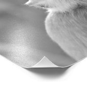 日光浴グレイ言語モンキー – 写真プリント フォトプリント            (角)