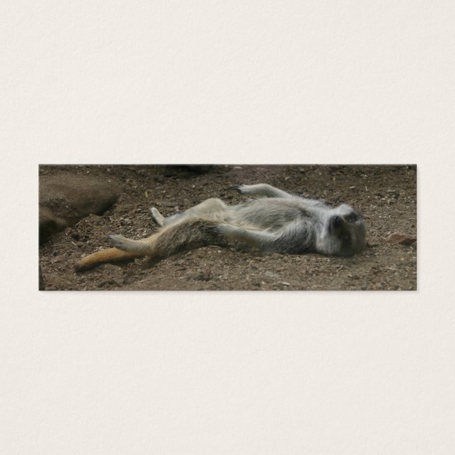 日光浴メルカートのしおり (正面)