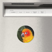 日光浴 マグネット (インサイチュ (食洗機))