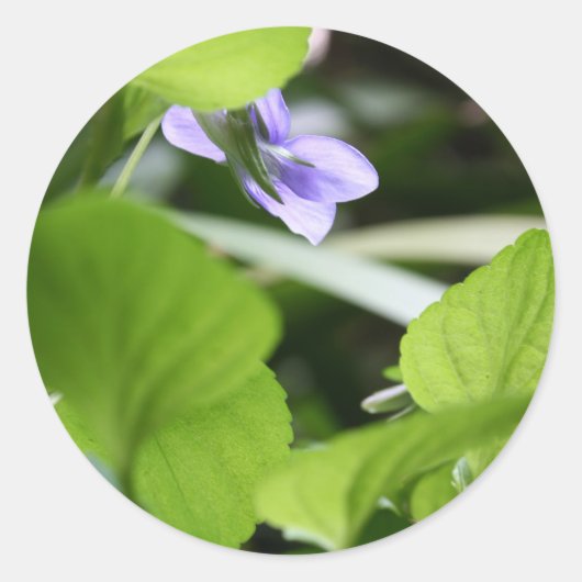 日光浴？ ラウンドシール (正面)