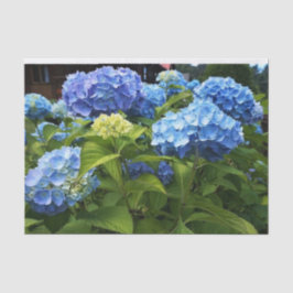 日光青アジサイの花のデコパージュクラフト 薄葉紙