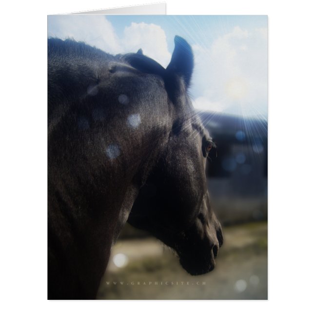 日光 – グリーティングカード (正面)