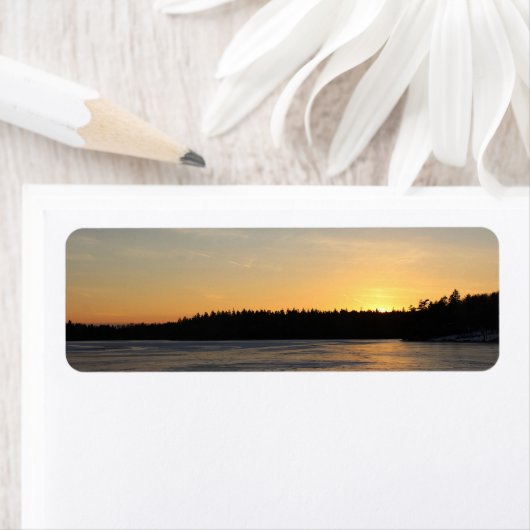 日凍ってい没 ラベル (インサイチュ)