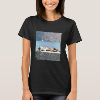 日向で気持ちよさそうな猫_001 Tシャツ