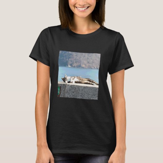 日向で気持ちよさそうな猫_001 Tシャツ (正面)