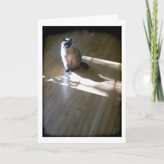 日向に佇むライラックポイントのシャム猫 カード (正面)