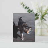 日向のタビー猫のポストカード ポストカード (スタンド正面)