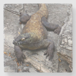 日向の岩の上のコモドドラゴン ストーンコースター